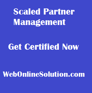 Scaled Partner Management